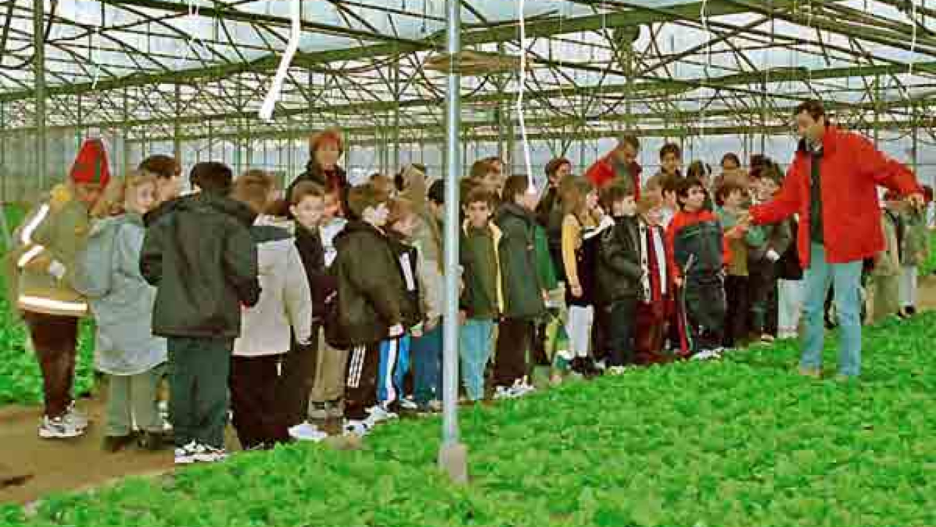 Perpignan, un territoire agricole