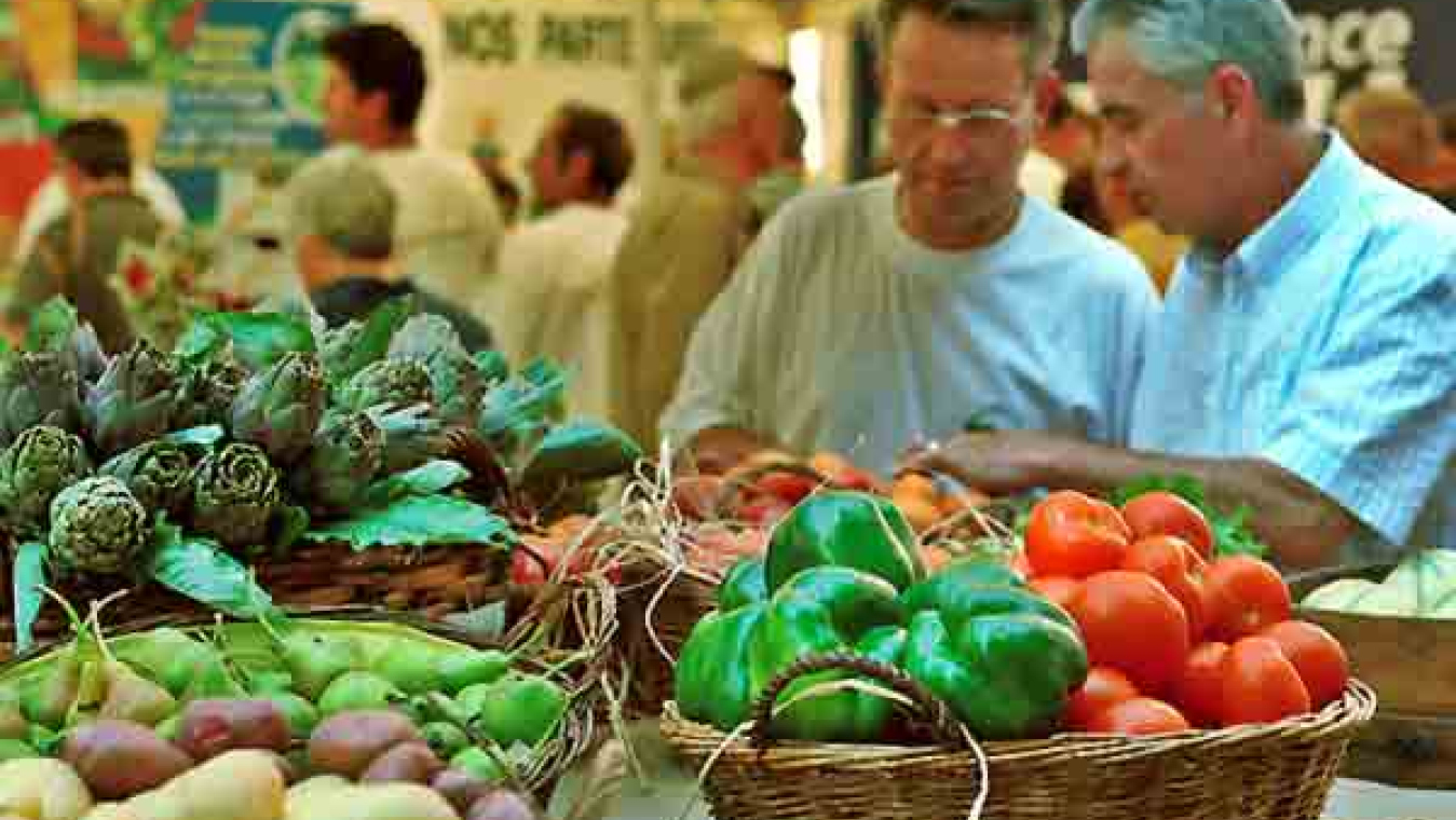 Perpignan, un territoire agricole
