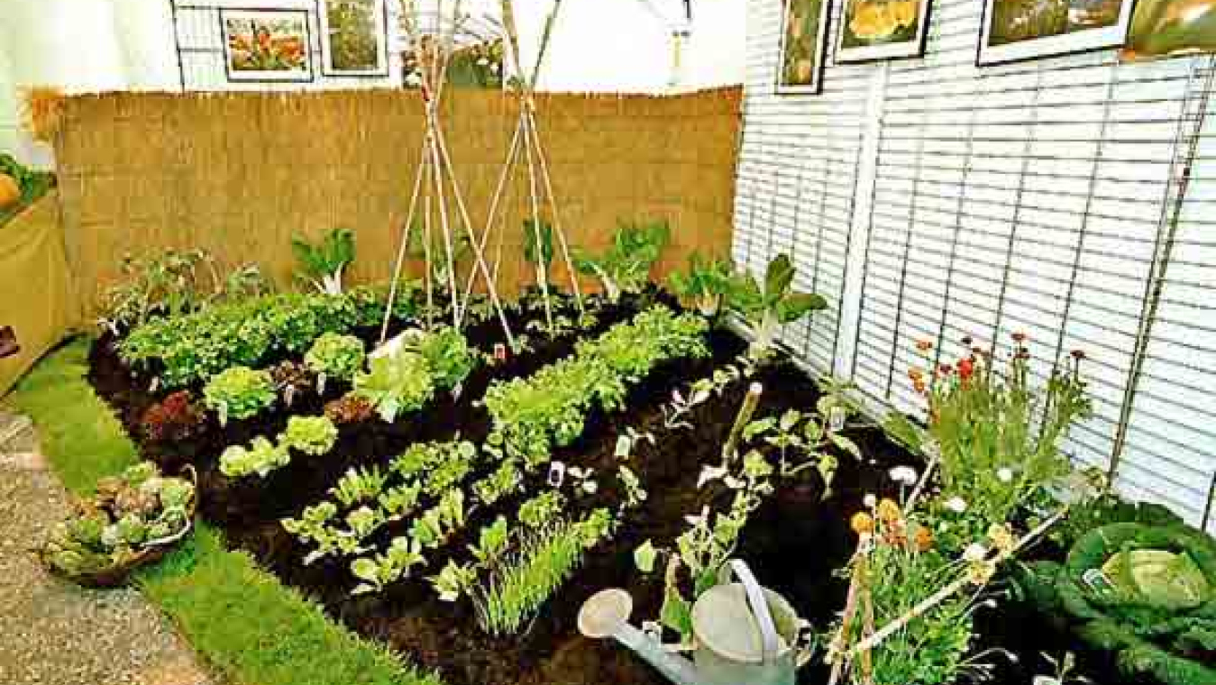 Perpignan, un territoire agricole