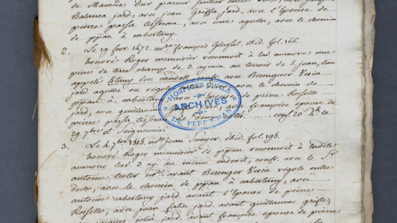 Terrier de la Miséricorde, ADPO 2HDTP 579