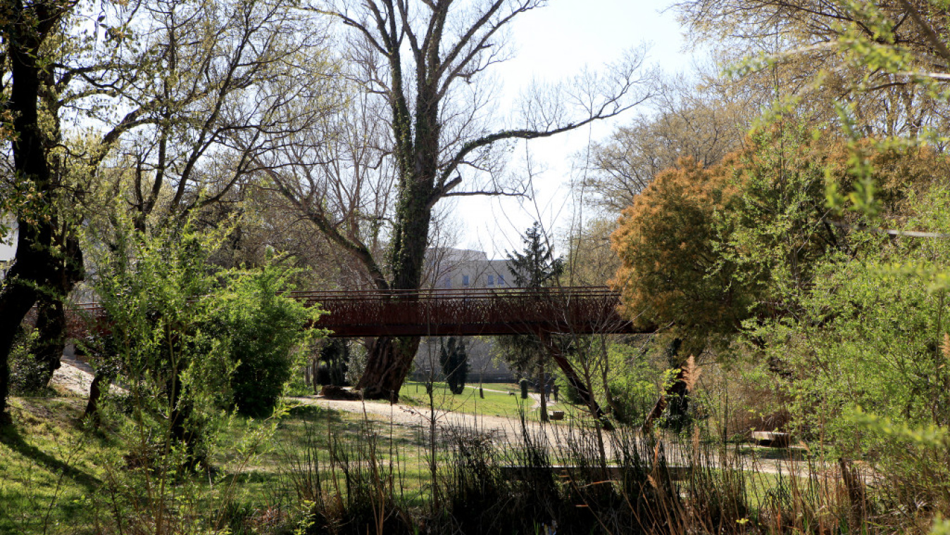 Passerelle sur la Basse