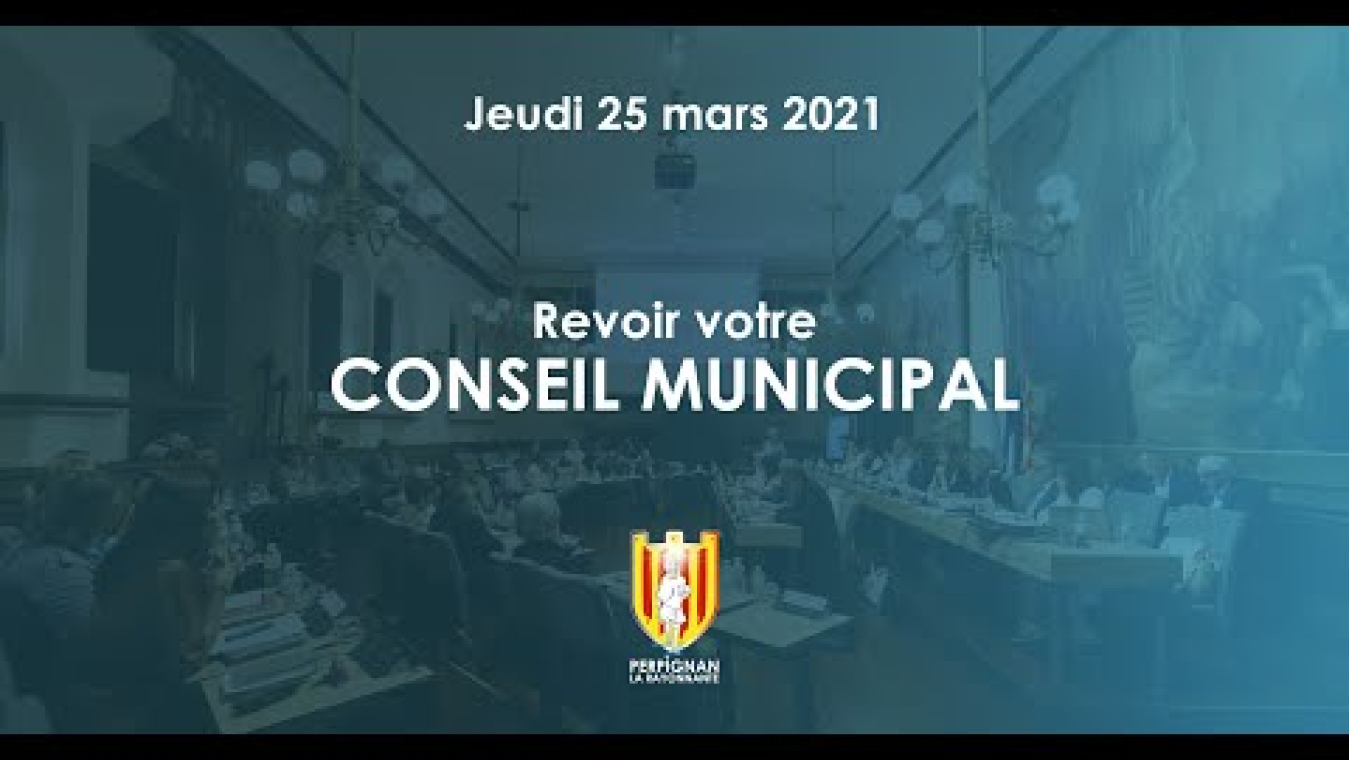 Image d'aperçu de la vidéo "Conseil municipal du 25 mars 2021".