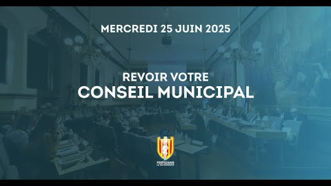 Image d'aperçu de la vidéo "Diffusion du conseil municipal du 25/06/2025".