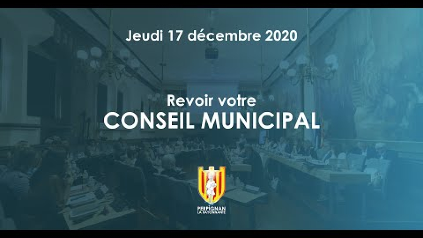 Image d'aperçu de la vidéo "Conseil municipal du 17 décembre 2020".
