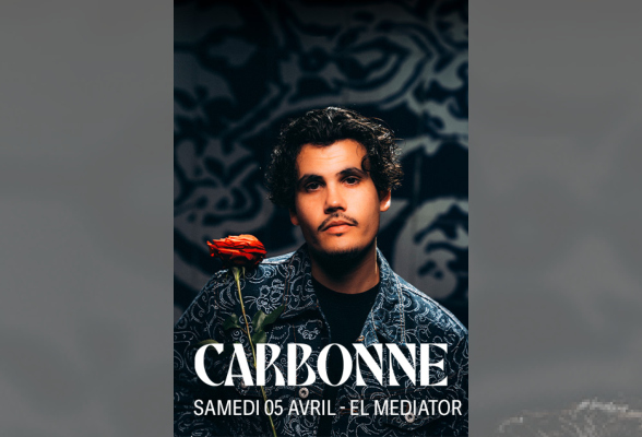 Photo N°1 : CARBONNE