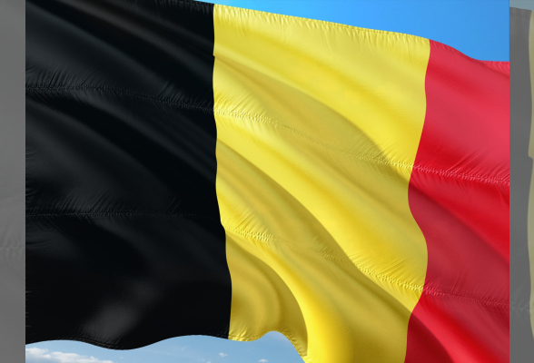 Photo N°1 : FÊTE NATIONALE BELGE 