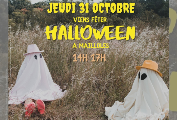 Photo N°1 : FÊTE DE QUARTIER DE MAILLOLES & HALLOWEEN