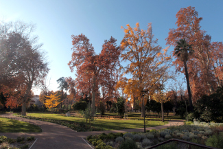 Square en automne