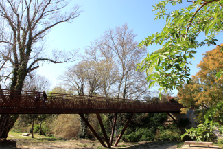 Création de la passerelle