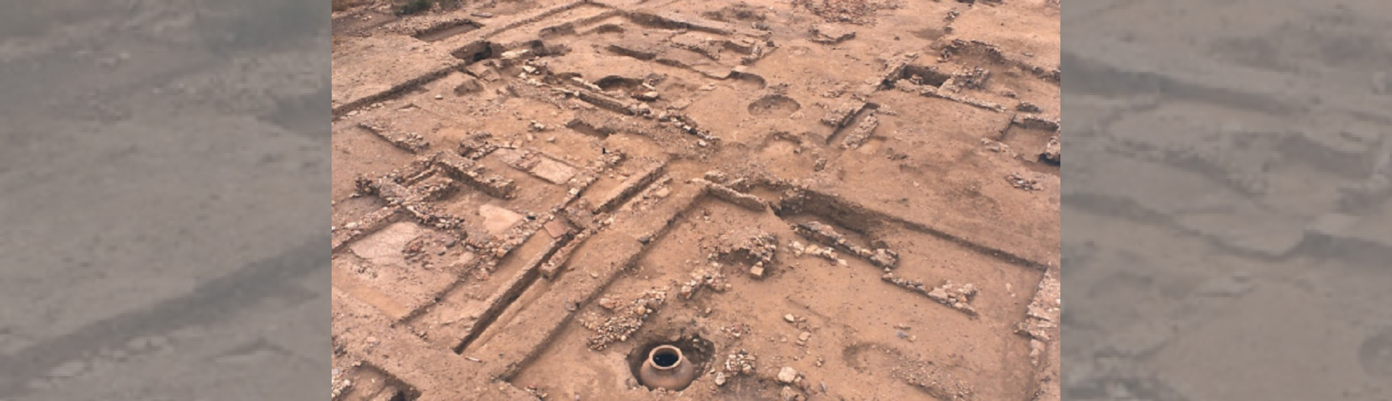 Photo N°2 : VISITE GUIDÉE DE RUSCINO