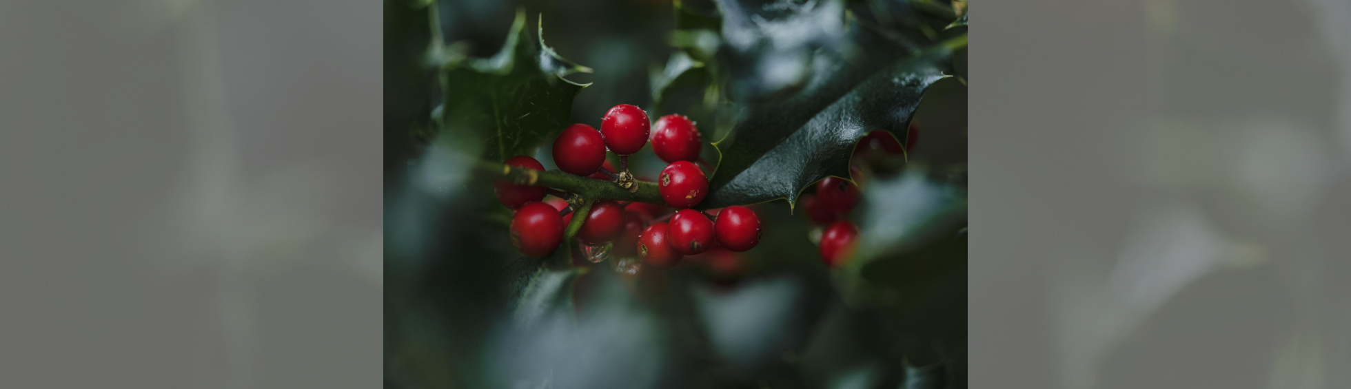 Photo N°1 : MARCHÉ DE NOËL DU QUARTIER GARE
