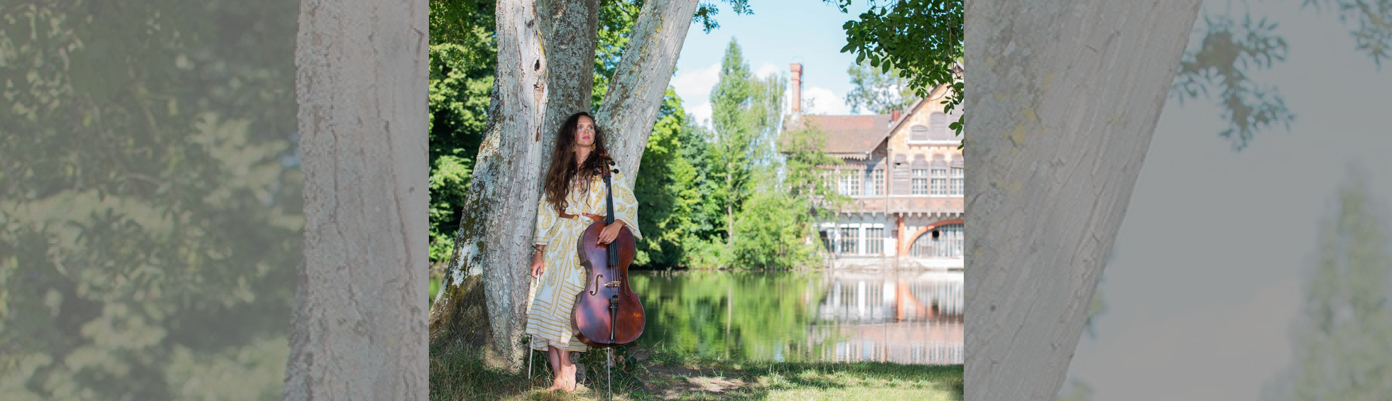 Photo N°1 : CONCERTS AU LEVER ET AU COUCHER DU SOLEIL - LE SILENCE DE LA FORÊT
