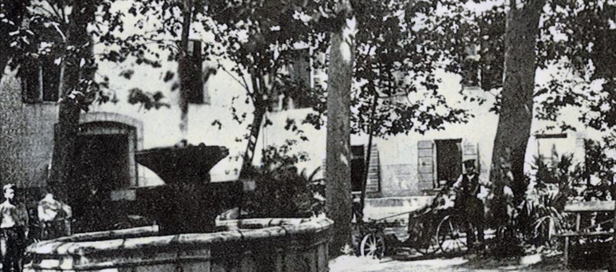 Vasque polygonale de fontaine à deux coupes en élévation, platanes faisant de l'ombre