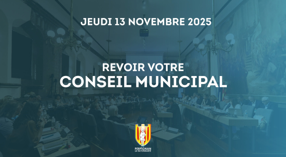 Séance du 13 novembre 2025